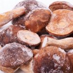 Rules for freezing porcini mushrooms