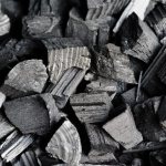 Advantages and disadvantages of charcoal as a fertilizer