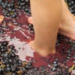 The process of crushing grapes with your feet