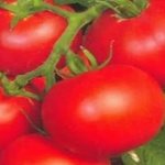 five tomatoes
