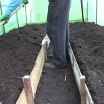 leveling beds in a greenhouse