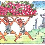 radish in ancient Greece