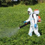 Recommendations for applying herbicide treatment against weeds