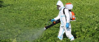 Рекомендации для применения гербицидной обработки от сорняков