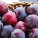 self-fertile varieties of plums for the Moscow region