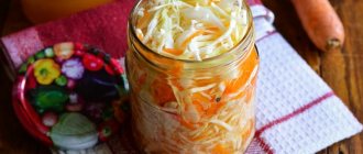 Secrets of delicious preparations: why sauerkraut darkens and how to prevent the product from darkening
