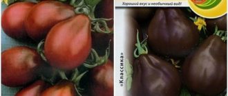 black pear tomato seeds