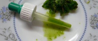 Kalanchoe juice in a pipette