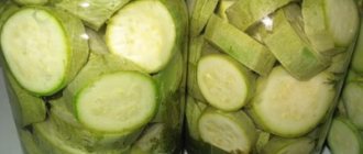 Salted zucchini for the winter