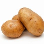 Volat potato variety