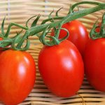 Tomato variety Rio Grande