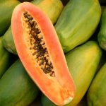 Varieties and varieties of papaya