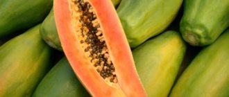 Varieties and varieties of papaya