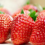 Varieties of large-fruited strawberries