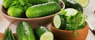 Ways to store fresh cucumbers at home for a long period