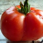 Томат Эм Чемпион: характеристика и описание сорта, отзывы тех, кто сажал помидоры и фото