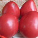 томат севрюга