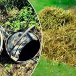 Fertilizer from grass and weeds in a barrel