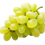 Zarnitsa grape variety