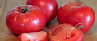 A delicious salad tomato with a sweet honey taste - the “Pink Elephant” tomato and its other benefits