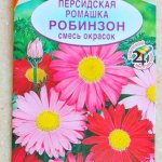 germination of flower and vegetable seeds - Persian chamomile variety Robinson