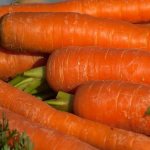 Высокоурожайный гибрид моркови Санькина любовь