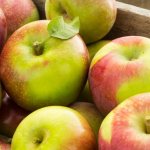 Яблоня Синап — характеристики сорта