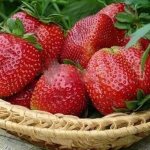 Strawberries Marshmallow