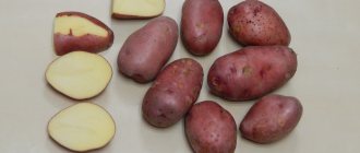 crane potatoes